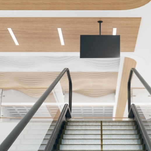 Ceiling mounts