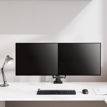 Desk Mounts