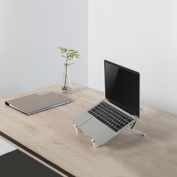 Laptop mounts